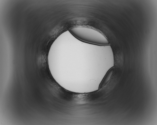 X0000103330184200810061022