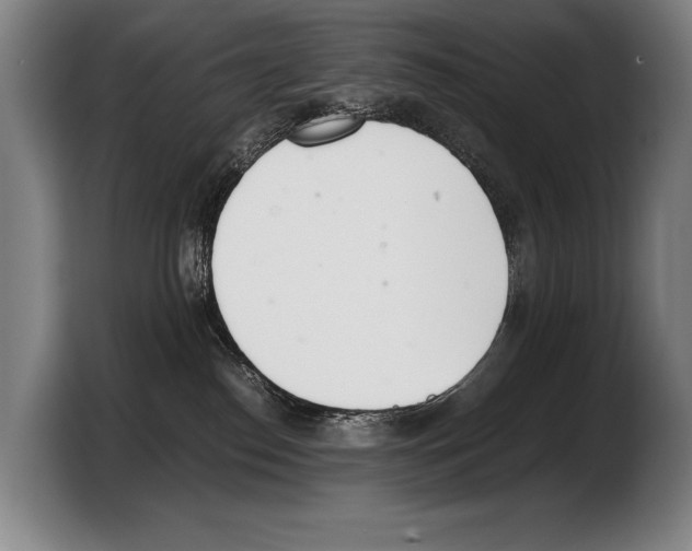 X0000103330186200810061022