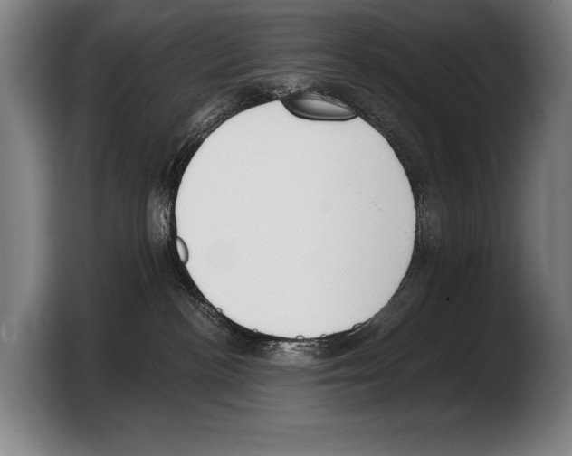 X0000103330188200810061022