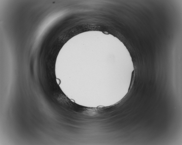 X0000103330190200810061022