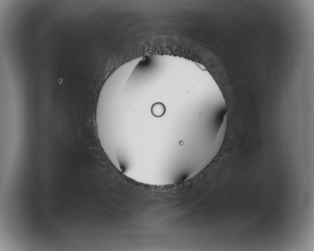 X0000103330192200810061022