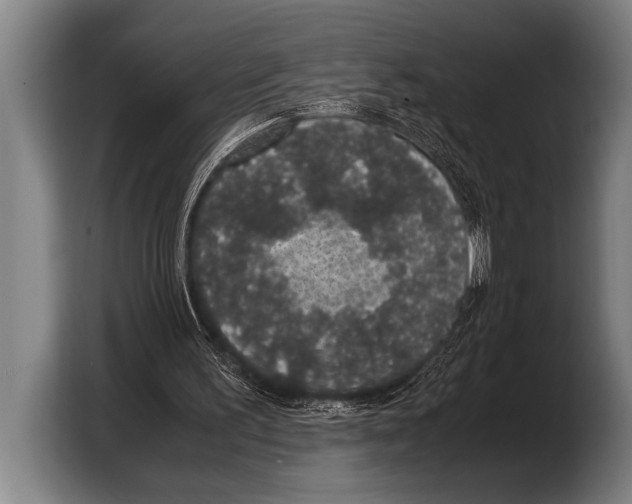 X0000103330195200810061021