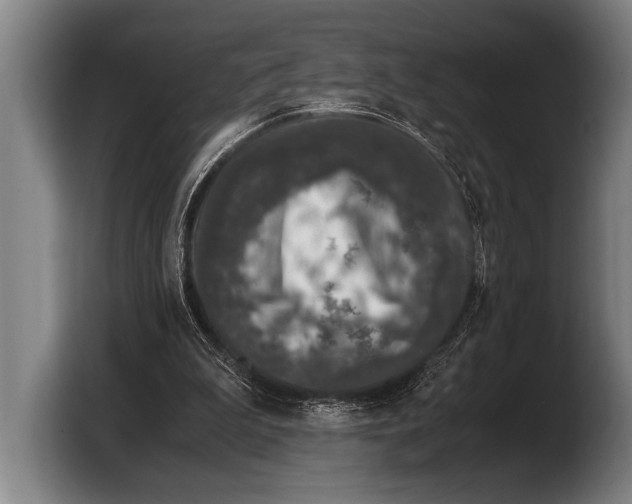 X0000103330199200810061021