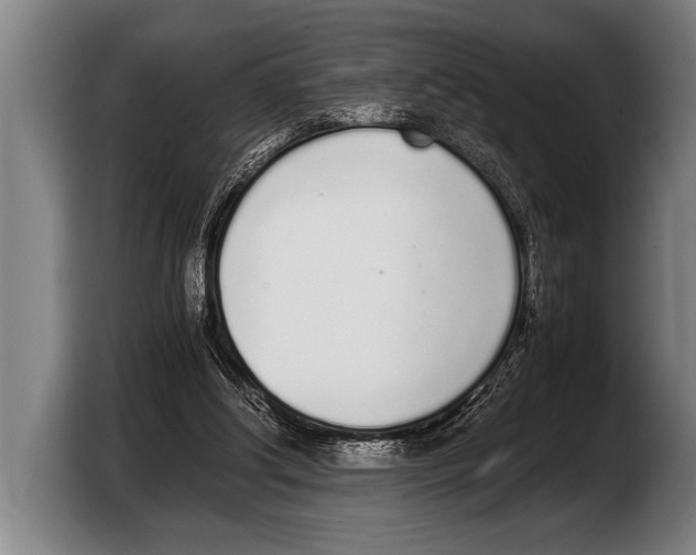 X0000103330202200810061021