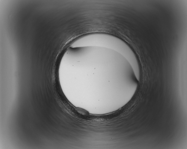 X0000103330203200810061021