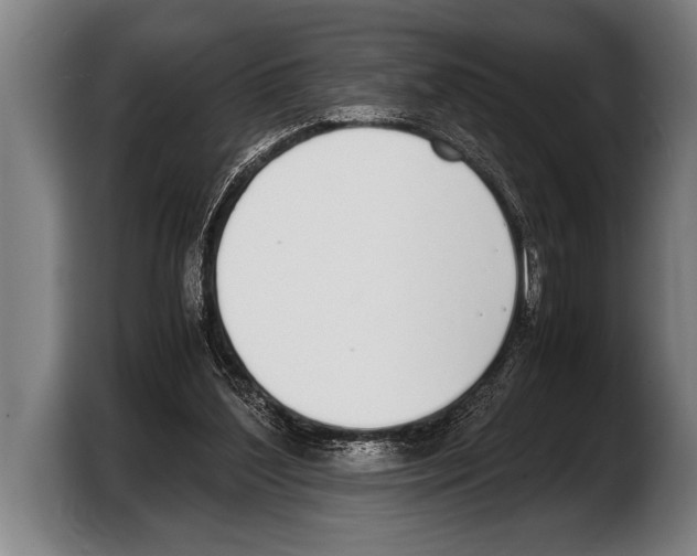 X0000103330204200810061021