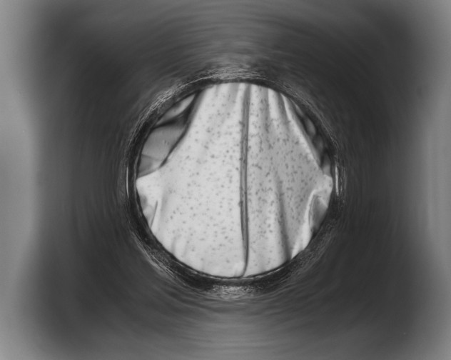 X0000103330205200810061021