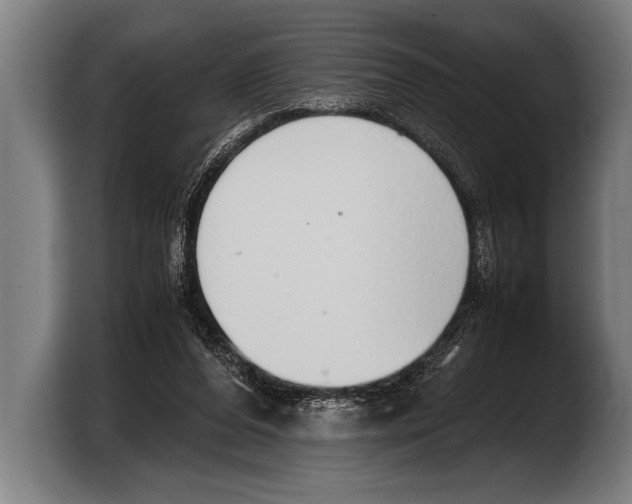 X0000103330208200810061021