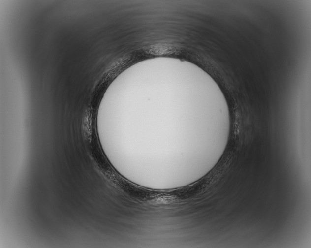 X0000103330210200810061021