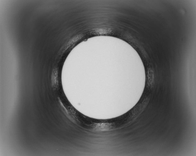 X0000103330212200810061021