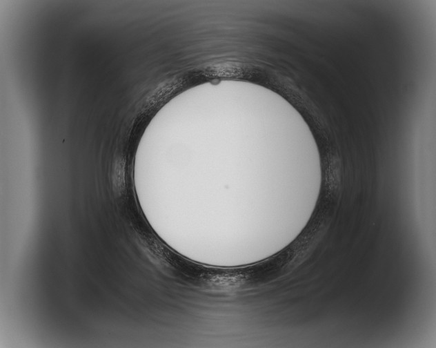 X0000103330213200810061021