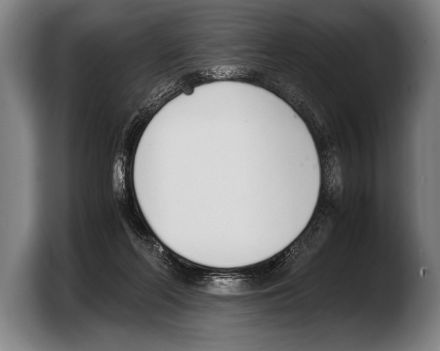 X0000103330214200810061021