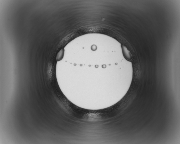 X0000103330216200810061021