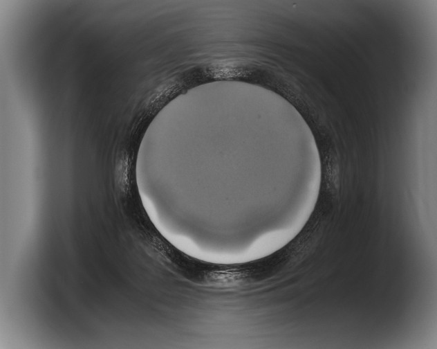 X0000103330219200810061021