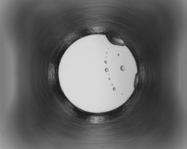 X0000103330220200810061021