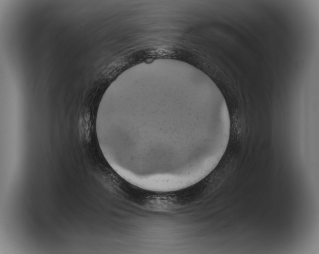 X0000103330223200810061021