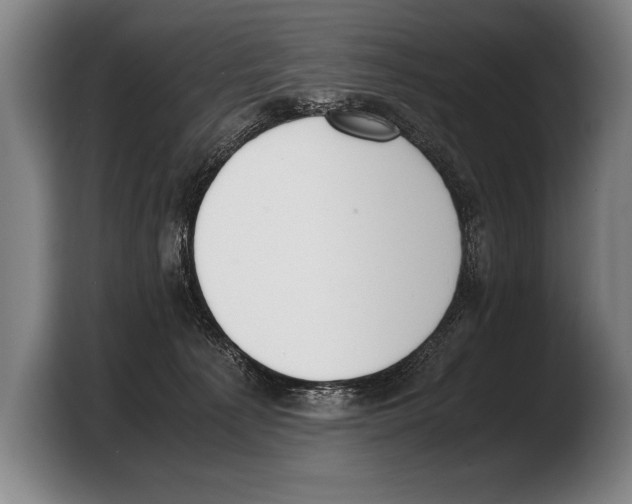 X0000103330225200810061021