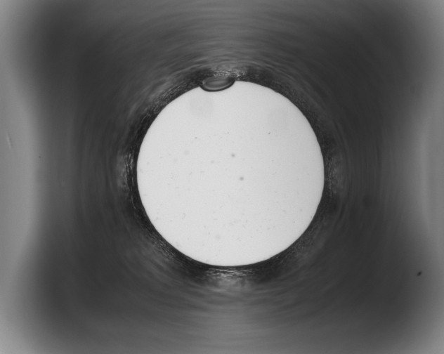 X0000103330229200810061021