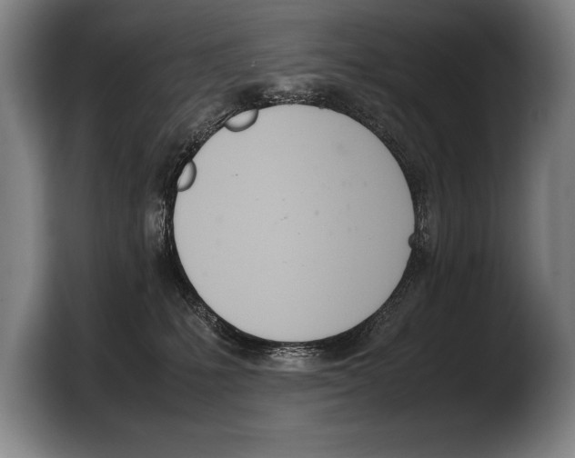 X0000103330231200810061021