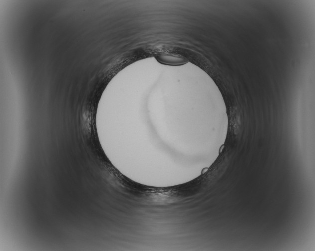 X0000103330235200810061021