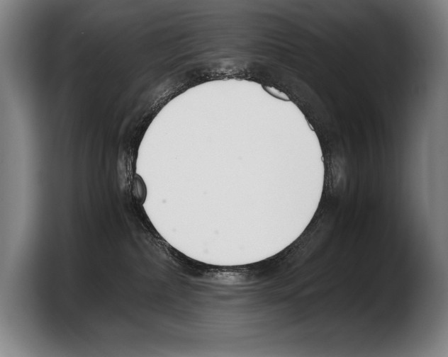 X0000103330236200810061021