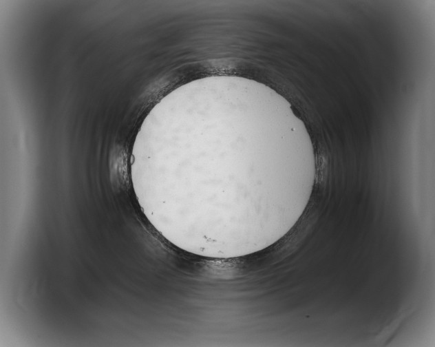 X0000103330238200810061021