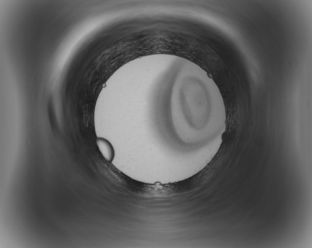 X0000103330239200810061021