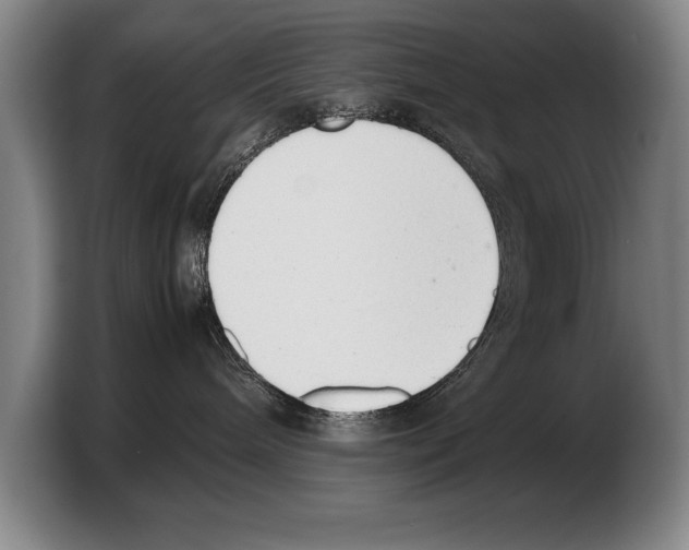 X0000103330240200810061021