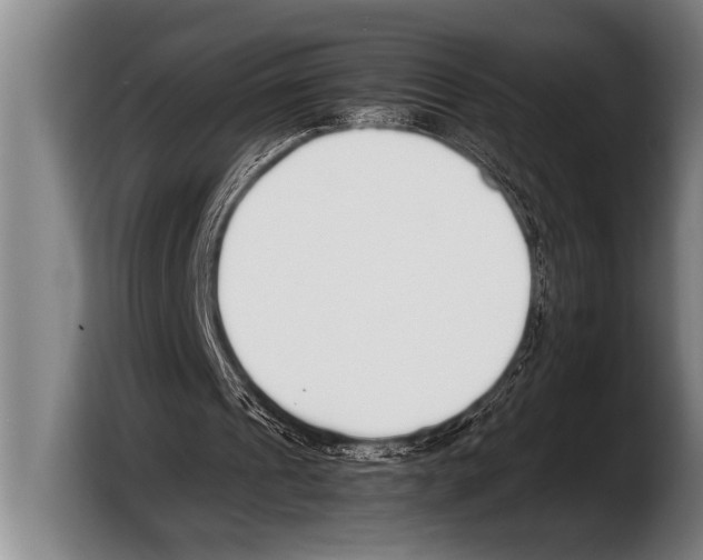 X0000103330241200810061020