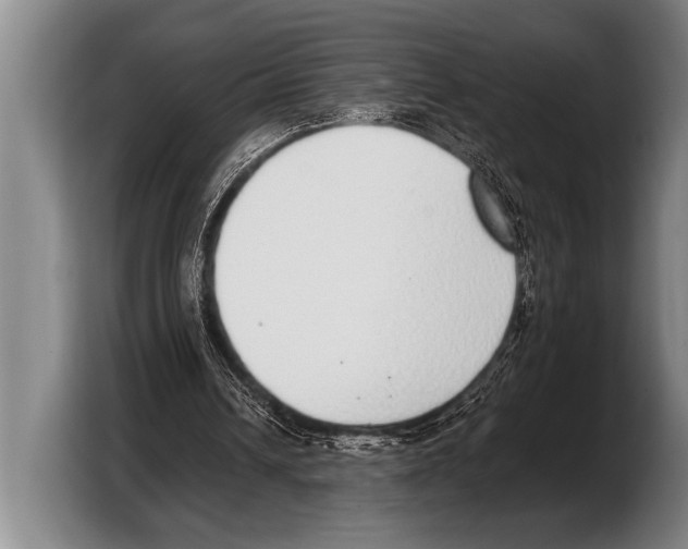 X0000103330242200810061020