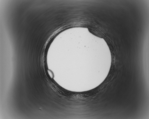 X0000103330244200810061020