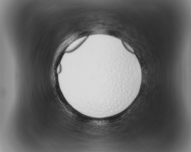 X0000103330245200810061020