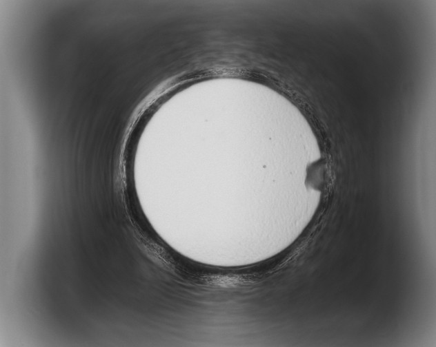 X0000103330246200810061020