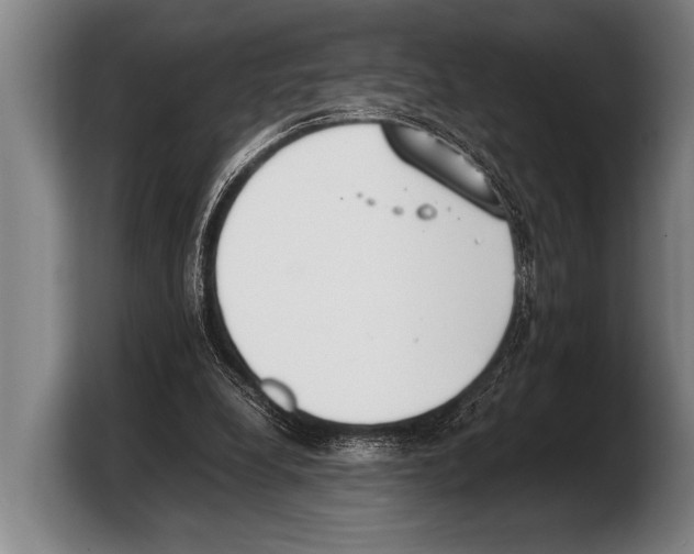 X0000103330248200810061020