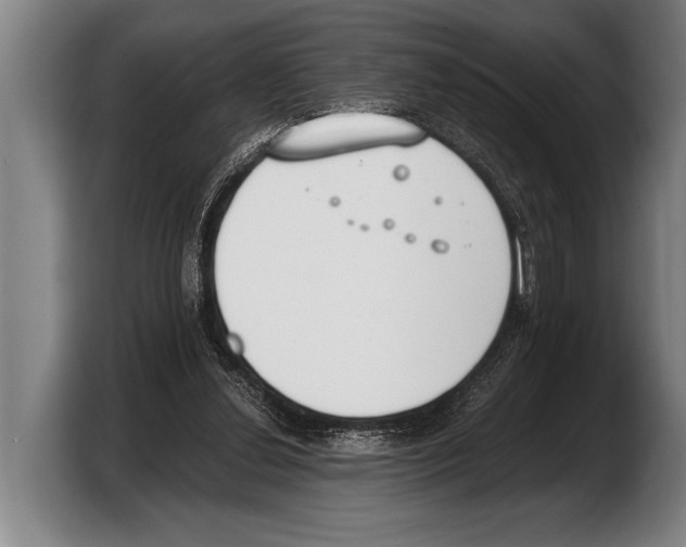 X0000103330252200810061020