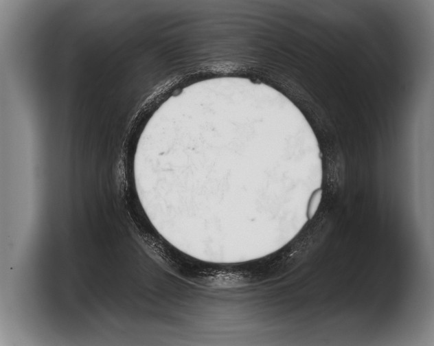 X0000103330256200810061020