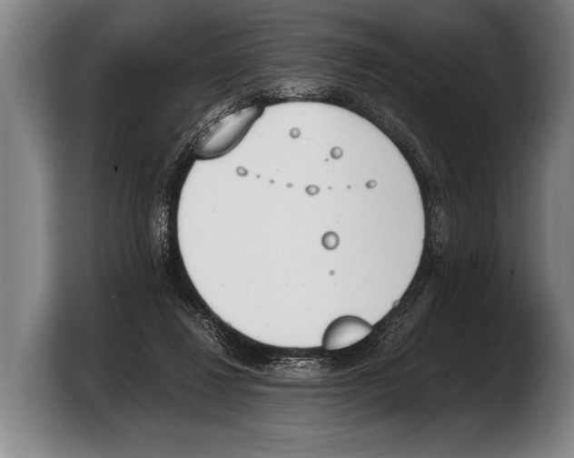 X0000103330260200810061020