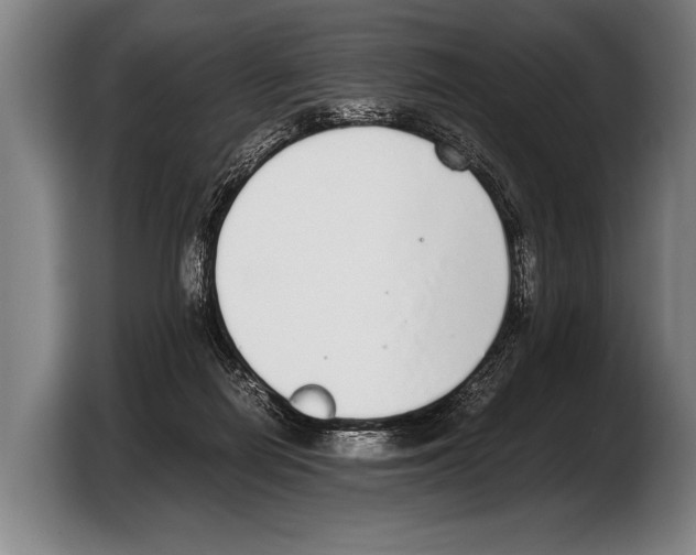 X0000103330266200810061020