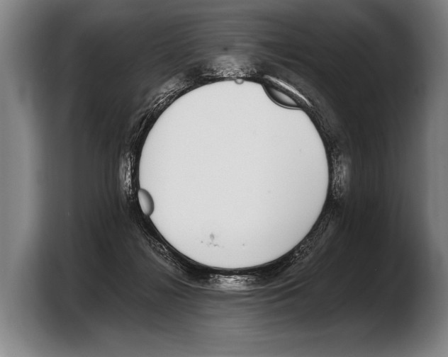 X0000103330268200810061020