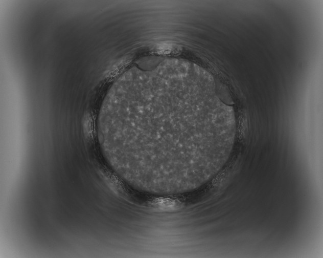 X0000103330272200810061020