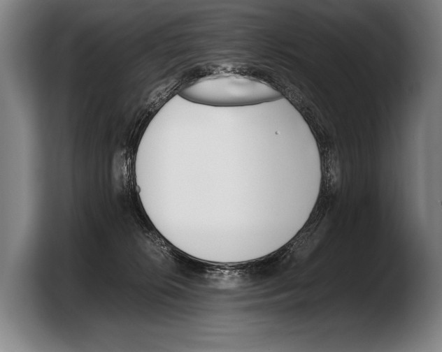 X0000103330276200810061021