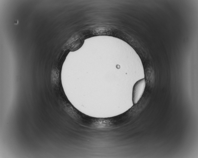 X0000103330278200810061021