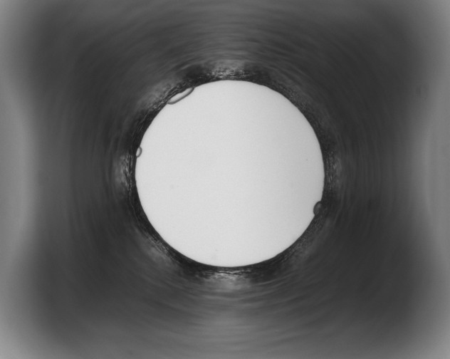 X0000103330280200810061021