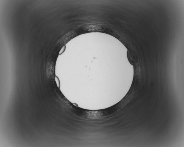 X0000103330281200810061021