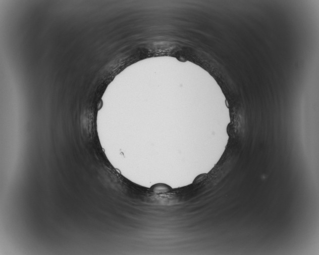 X0000103330283200810061021