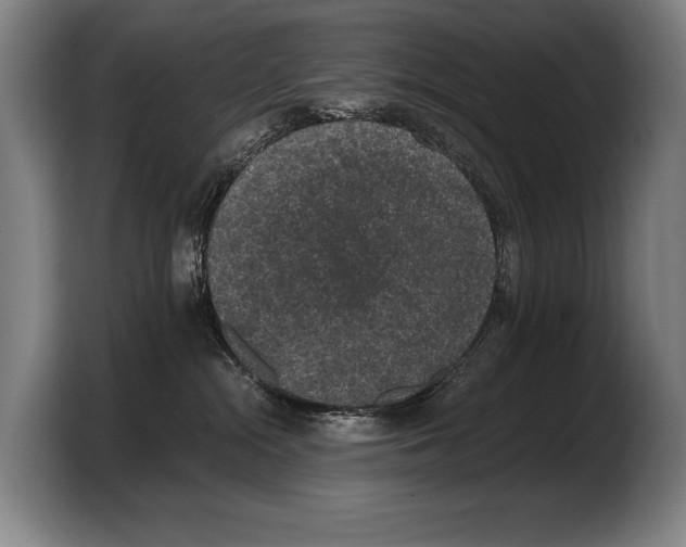 X0000103330284200810061021