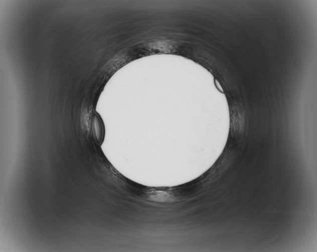 X0000103330285200810061021