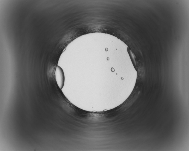 X0000103330286200810061021