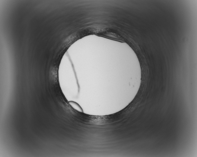 X0000103330288200810061021