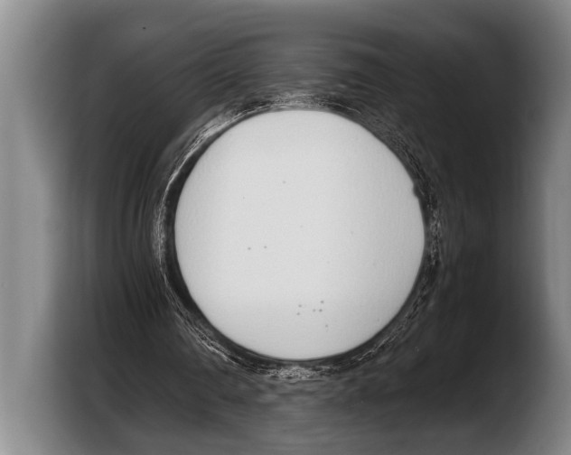 X0000103330290200810061020